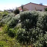 Domaine De Marodi Lavande Apartman Baignes-Sainte-Radegonde