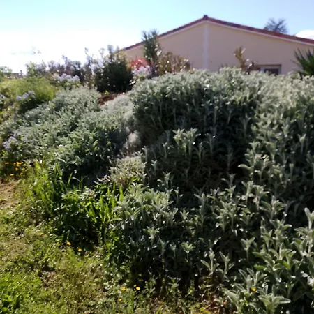 Lavande Apartment Baignes-Sainte-Radegonde