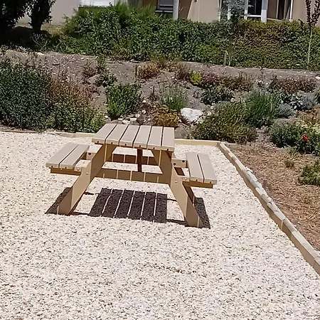 Lavande * Baignes-Sainte-Radegonde