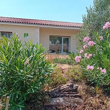 Lavande Baignes-Sainte-Radegonde