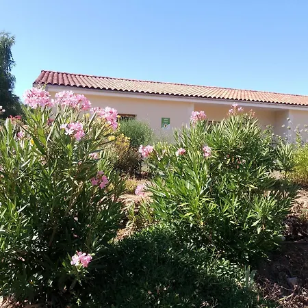 Domaine De Marodi Lavande