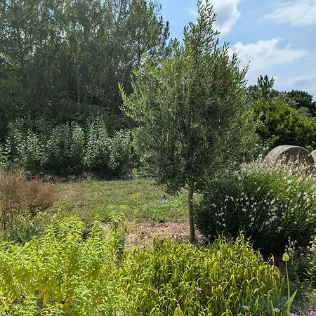 Domaine De Marodi Lavande Apartman *