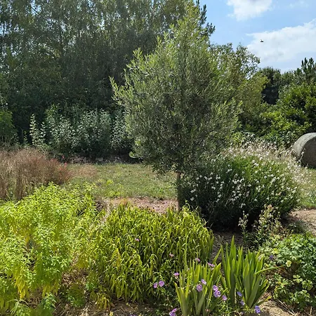 Domaine De Marodi Lavande