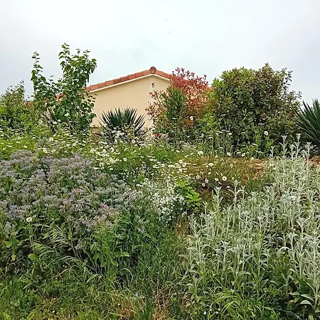 Domaine De Marodi Lavande Baignes-Sainte-Radegonde