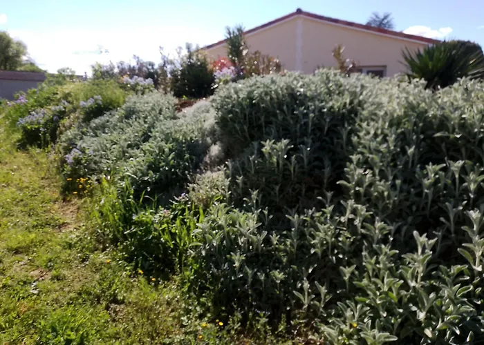 Lavande Apartamento Baignes-Sainte-Radegonde