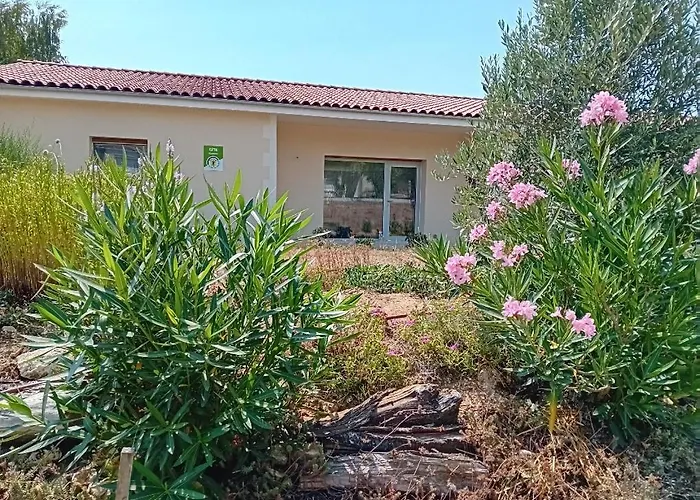 Lavande Baignes-Sainte-Radegonde